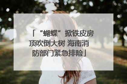 “蝴蝶”掀铁皮房顶吹倒大树 海南消防部门紧急排险